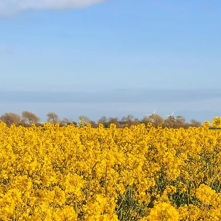 Gorgeous In Emmelsbuell-horsbuell Hébergement de vacances *
